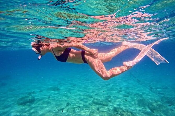 Nha Trang Bay: Private Half-Day Snorkeling Tour at Coral Reef - Key Points