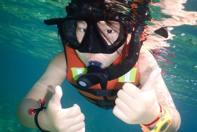 Explore Nha Trang Bay: Half-Day Snorkeling Adventure Tour - Final Thoughts: Who Will Love This Tour?