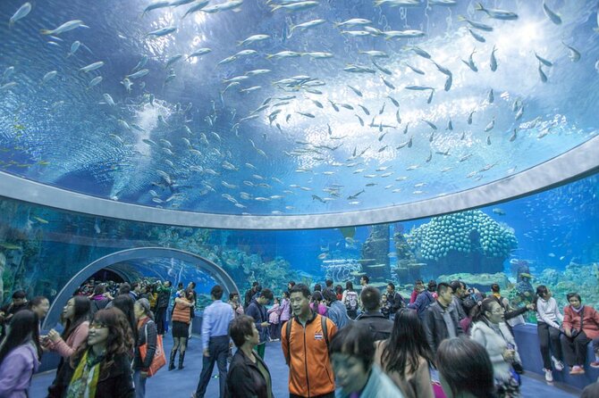 Nha Trang Highlights Tour Top Sights and Hidden Gems - FAQ