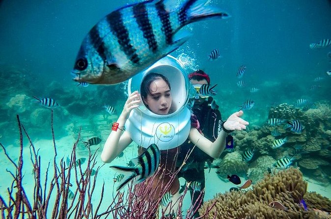 Nha Trang Bay Underwater Walk and Vietnamese Seafood Delight - Who Will Love This Tour?