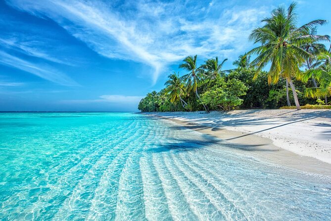 Coral Reef Snorkeling and Floating Bar Party from Nha Trang - Who Will Love This Tour?