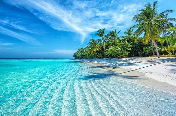 Coral Reef Snorkeling and Floating Bar Party from Nha Trang - FAQ