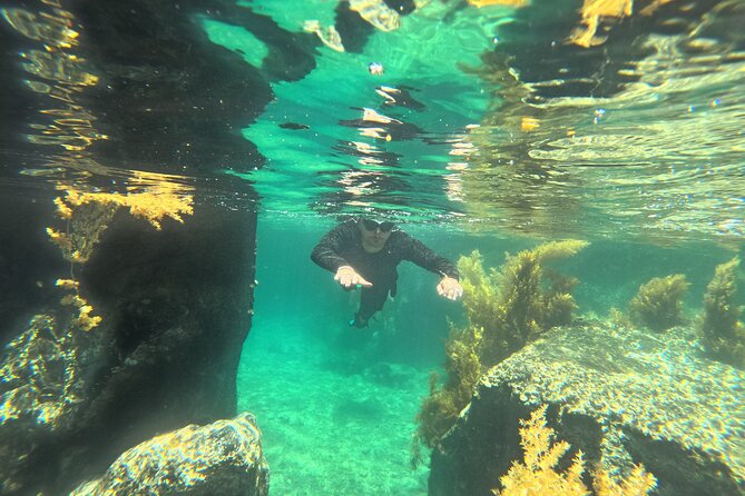 Nha Trang Half-Day Snorkeling Adventure at Marine Park with BBQ - A Closer Look at the Snorkeling Adventure