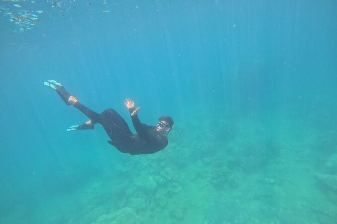 Nha Trang Half-Day Snorkeling Adventure at Marine Park with BBQ - FAQ  