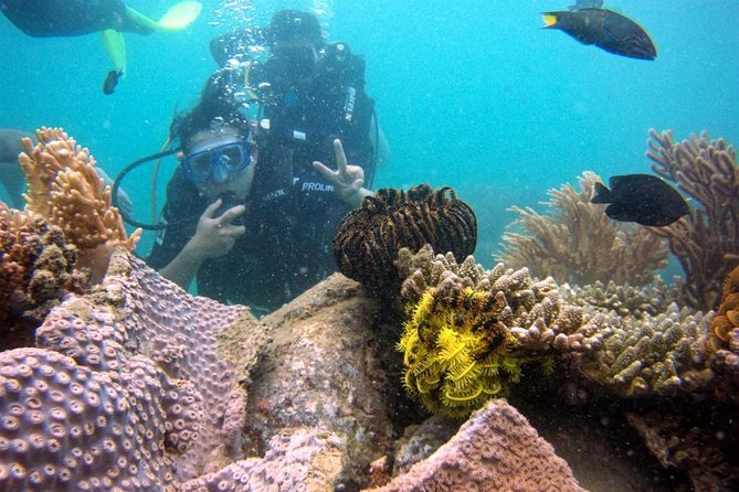 Private Guided Tour Scuba Diving At Marine Protected Area Included Lunch - Frequently Asked Questions