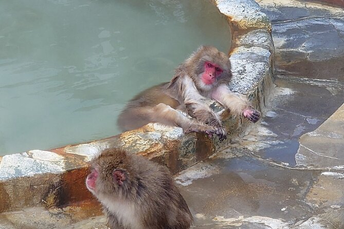 Private Hokkaido Guided 5 Day Tour with Transportation - Transportation and Comfort