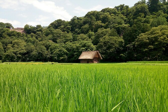 Shirakawago & Kanazawa from Kanazawa - An In-Depth Look at What You Can Expect