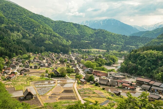 Shirakawago & Kanazawa from Kanazawa - Who Should Book This Tour?
