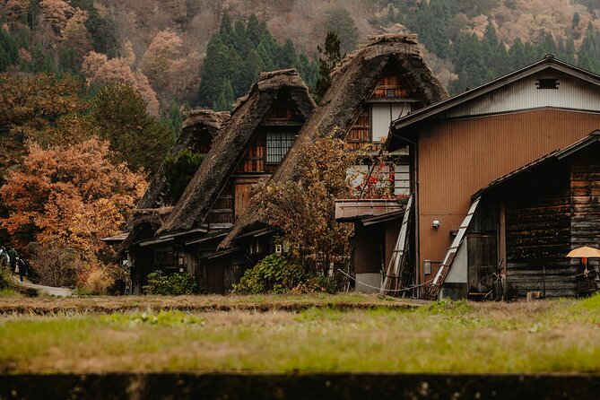 Shirakawago & Kanazawa from Kanazawa - Discover Japan’s Authentic Heart on a Day Trip from Kanazawa