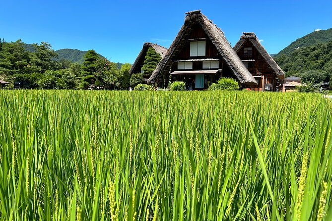 Gokayama and Shirakawago (UNESCO Heritage) Small Group(Max 9) - What’s Included and What to Consider