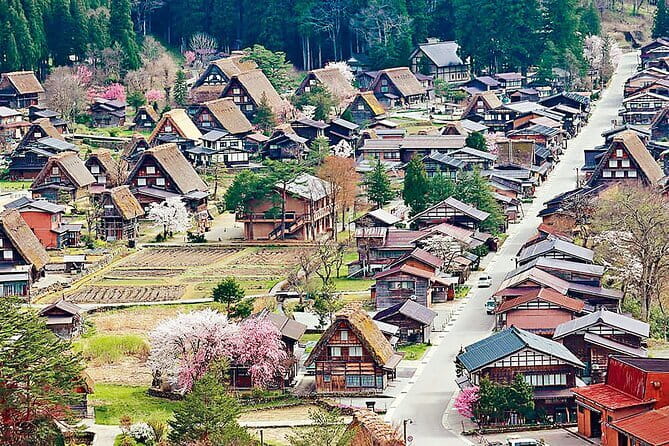 Hida Takayama Shirakawa-go Gassho Village Day Trip in Nagoya - What Reviewers Say