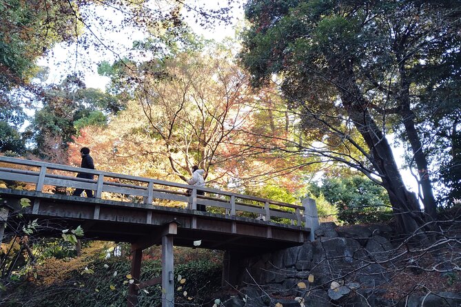 Nagoya: Exploring the Beauty of Tokugawa-en Garden - Who Would Enjoy This Experience?