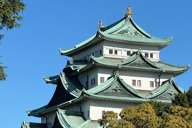Nagoya Castle Private Guided Tour - Additional Stops: Nishinomaru Archives and Museum