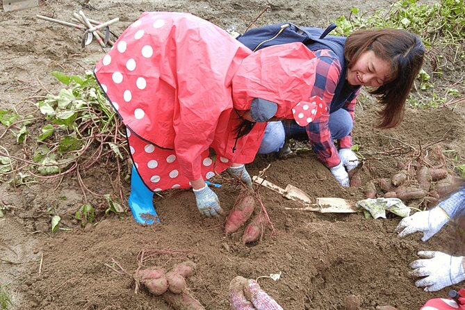 Toyota Green Life Experience Seasonal Farm with Farmers in Inabu - The Details That Matter