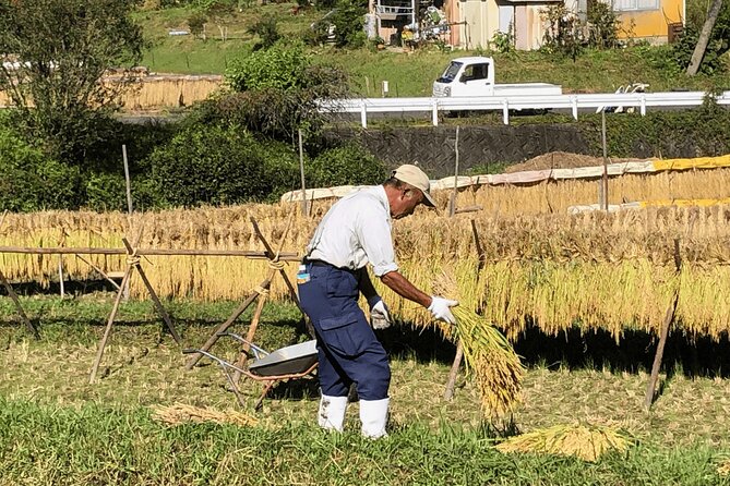 Toyota Green Life Experience Seasonal Farm with Farmers in Inabu - The Sum Up