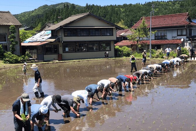 Toyota Green Life Experience Seasonal Farm with Farmers in Inabu - Good To Know