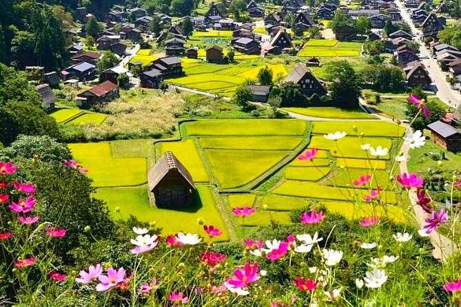 Shirakawa-go + Hida Takayama Day Tour from Nagoya Station - Who Will Love This Tour?