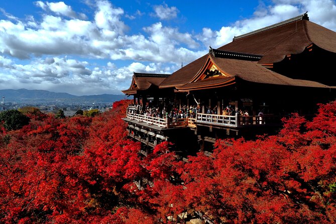 From Nagoya Kyoto Day Tour with Kobe Beef Shabu Shabu Lunch - FAQ