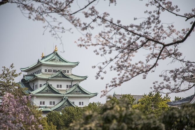Guided Garden Walk: Nagoya Castle, Gardens & Historic Estate - Starting at Nagoya Station