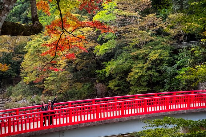 From Nagoya: Discover Aichi  Korankei, Miso, & Inari Shrine - Practical Tips for Travelers