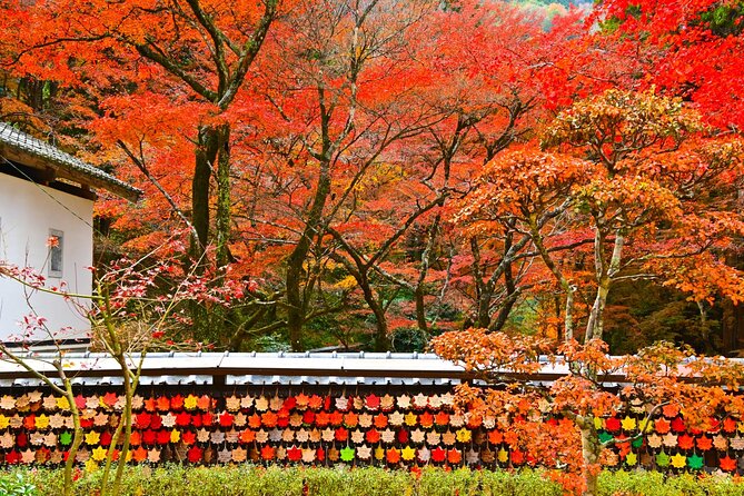 From Nagoya: Discover Aichi  Korankei, Miso, & Inari Shrine - Frequently Asked Questions (FAQs)