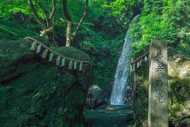 Yoro Falls and Mt. Gozaisho Scenic Ropeway from Nagoya - Who Would Love This Tour?