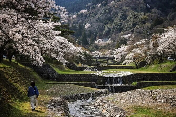 Yoro Falls and Mt. Gozaisho Scenic Ropeway from Nagoya - Yoro Falls and Mt. Gozaisho Scenic Ropeway from Nagoya — A Balanced Blend of Nature, Art, and Breathtaking Vistas