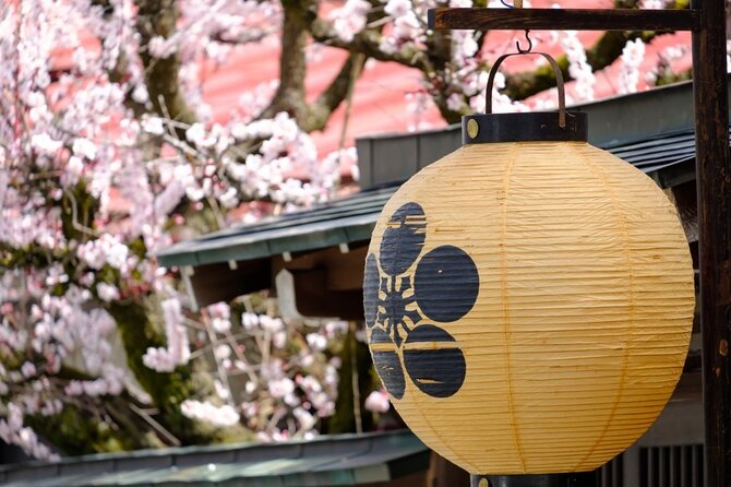 Private Tour from Nagoya to Takayama and Shirakawa-go - Final Thoughts