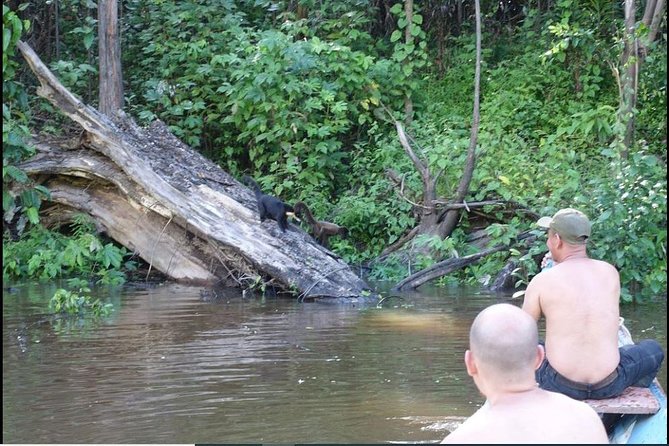 amazon rainforest adventure 3/ Days 2/ Nights 450 usd - Who Should Consider This Tour?