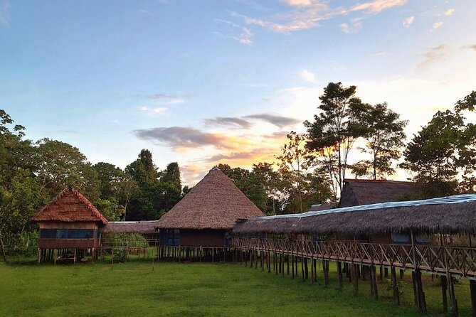 3-Days Tour in the Amazon Rainforest at Curassow Amazon Lodge - What Makes This Tour Special?