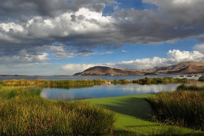 Lake Titicaca Day Tour from Puno - Key Points