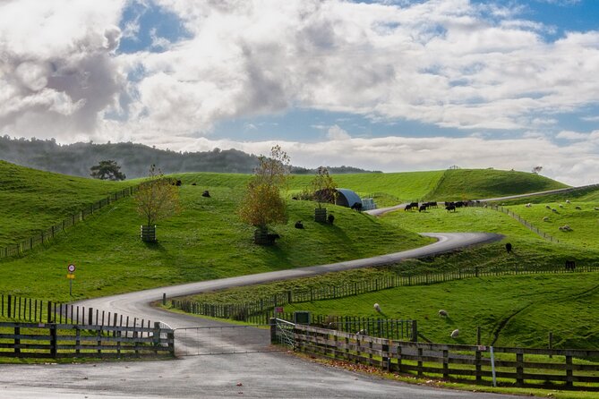 Private Tour Tauranga Magical Hobbiton Movie Set - Who Will Love This Tour?