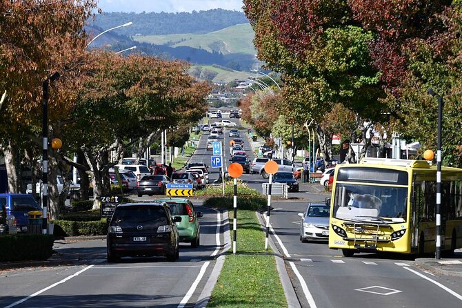 Middle Earth Private Tour from Tauranga Cruise Port. Tickets incl - What Travelers Say: Authentic Experiences and Knowledgeable Guides