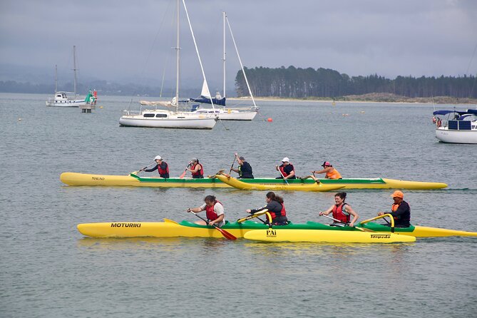 Waka Ama Lesson in Mount Maunganui - The Sum Up