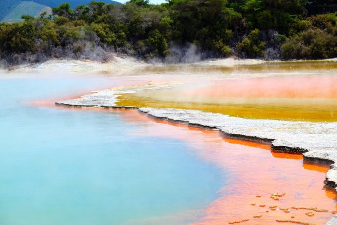 ROTORUA Highlights Tour In A Small Group - Final Thoughts
