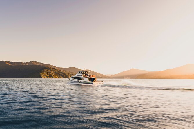 Day Cruise & Lunch at Punga Cove Resort - Who Should Consider This Tour?