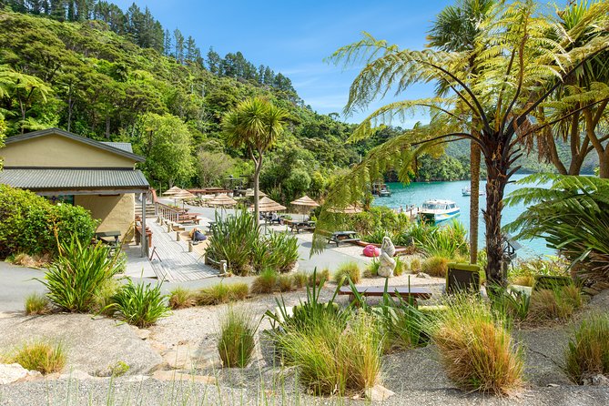 Marlborough Sounds Day Visit to Lochmara - A Relaxing Day in Marlborough Sounds: Visiting Lochmara Lodge from Picton