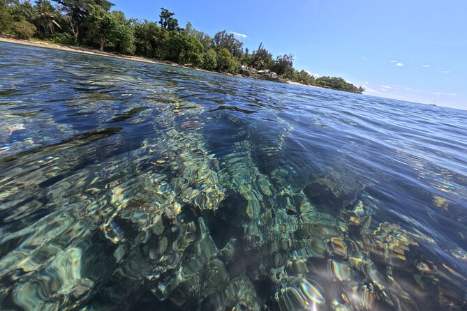 Dive Into Paradise: Snorkel Adventure at Paradise Cove - The Perfect Introduction to Vanuatu’s Marine Life