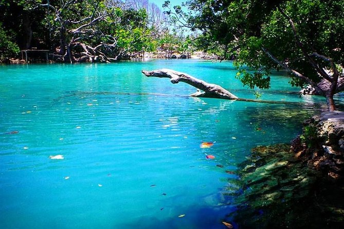 Cultural Experience & Blue Lagoon with Yumi Tours - Practical Details and What to Expect