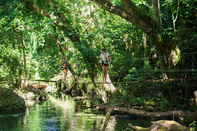 Vanuatu Buggy Adventure with Yumi Tours - Who Will Love This Tour?