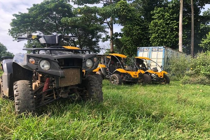 Vanuatu Buggy Adventure with Yumi Tours - Vanuatu Buggy Adventure with Yumi Tours: An Action-Packed Day for Adventure Seekers