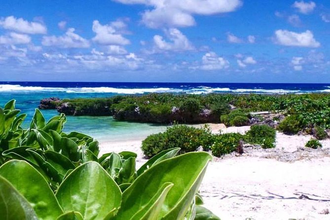 Full-Day Efate Round Island Trip with Yumi Tours - Who Will Love This Tour?