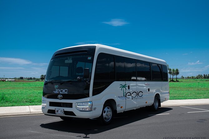 CFC APPROVED Private Arrival Transfer - Nadi Airport to Hotel - Why This Transfer Stands Out