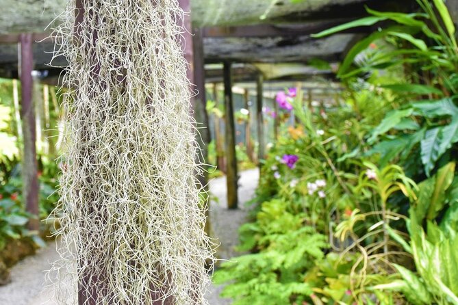 Garden of Sleeping Giant Tour with Tifajek Mud Pool and Hotspring - Final Thoughts: Who Is This Tour Best For?