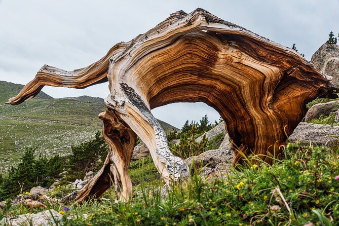 Mount Blue Sky Alpine Summit & Red Rocks Tour from Denver - Practical Tips and Considerations