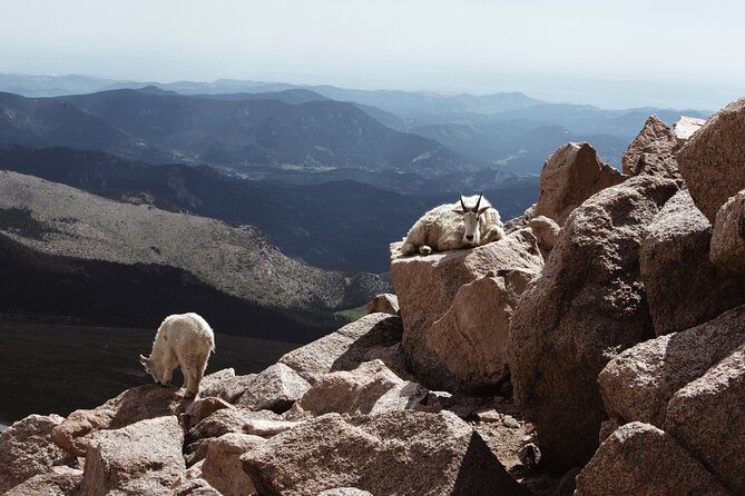 Mount Blue Sky Alpine Summit & Red Rocks Tour from Denver - Summit Lake and Wildlife Spotting