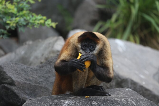Granada Islets Boat Tour (The best in town) - Why We Think This Tour Offers Great Value