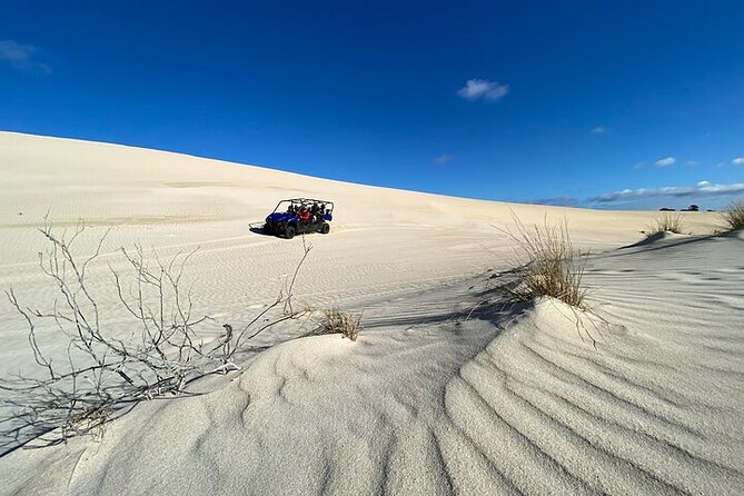 Small-Group Buggy Tour at Little Sahara with Guide - The Sum Up