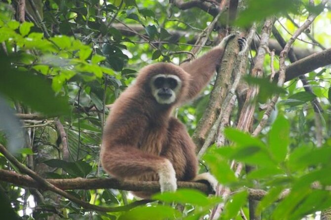 2 Days 1 Night Ethical Jungle Trekking - Price and Value: Is It Worth It?