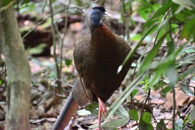 Explore North Sumatera: 7 Days Tour Adventure (Min. for 2 people) - An In-Depth Look at the 7-Day North Sumatera Tour